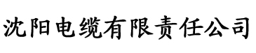 理论片中文字幕在线观看电缆厂logo